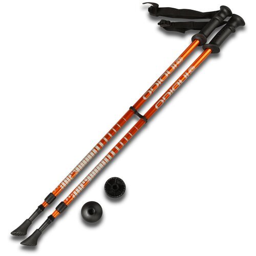 Палки для скандинавской ходьбы 2 шт. телескопические Indigo SL-1-2, оранжевый
