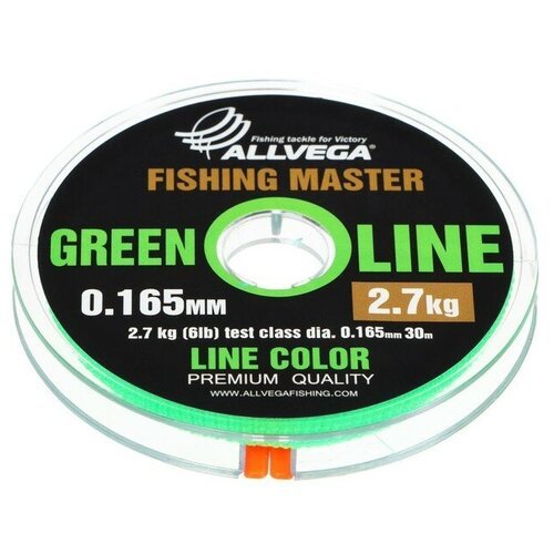 Леска монофильная ALLVEGA Fishing Master, диаметр 0.165 мм, тест 2.7 кг, 30 м, зеленая