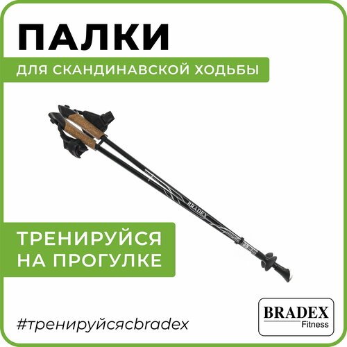 Палки для скандинавской ходьбы 2 шт. телескопические складные BRADEX телескопические Нордик Стайл II, черный
