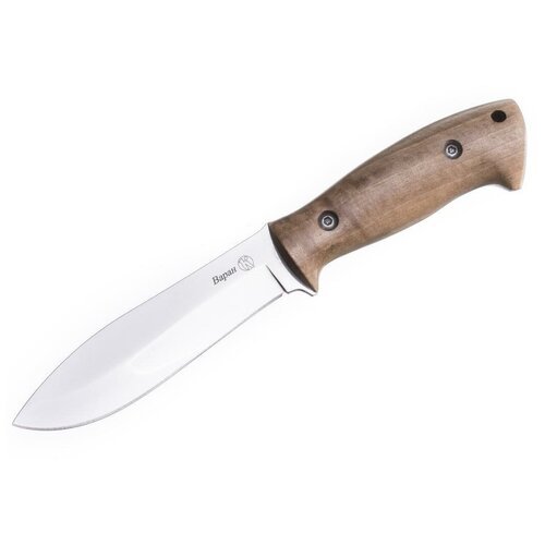 Нож туристический Кизляр Варан, длина лезвия 12,1 см