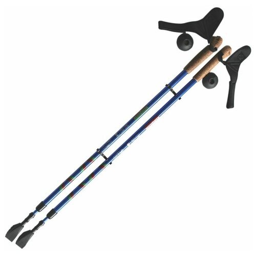 Палки для скандинавской ходьбы со сменными комплектующими телескопические Ergoforce E-0673, сине-серебристый